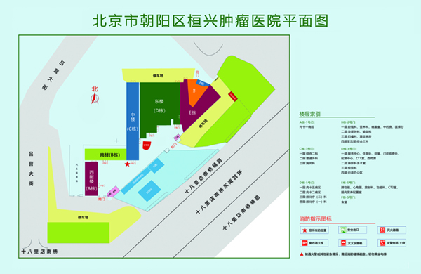 好爽好操好爽好爽北京市朝阳区桓兴肿瘤医院平面图